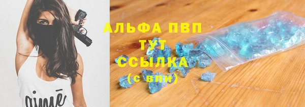 сатива Баксан