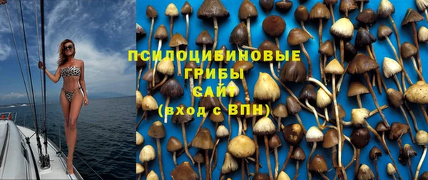 прущие крисы Армянск