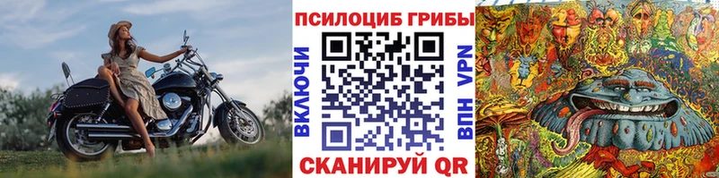 Галлюциногенные грибы мухоморы  цены наркотик  Петухово 